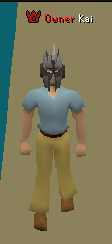 Base Slayer Helm
